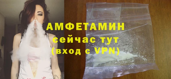 стаф Алзамай