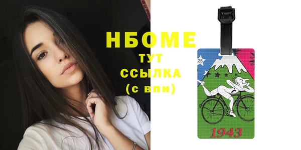 стаф Алзамай