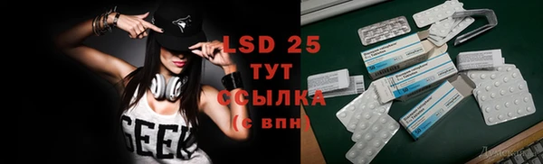 стаф Алзамай