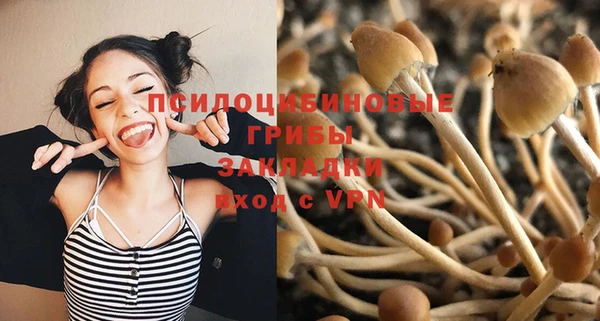 стаф Алзамай