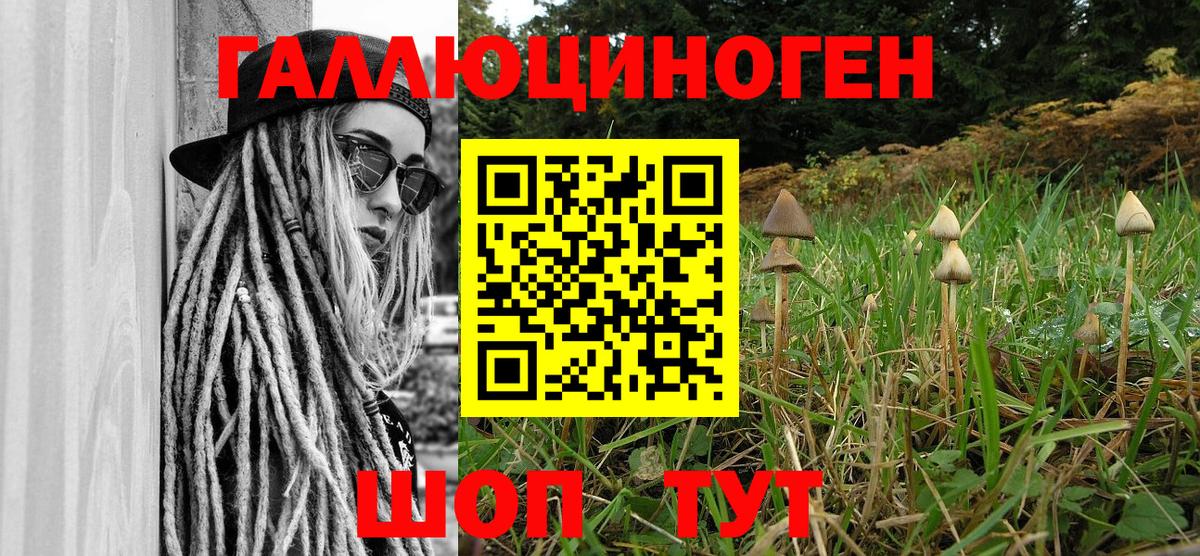 Псилоцибиновые грибы ЛСД  Вход с VPN  где можно купить наркотик  Десногорск 